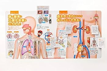 Amazon.com: めくって学べる! はたらく細胞 からだのしくみ