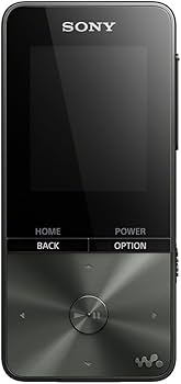 Amazon.co.jp: ソニー(SONY) ウォークマン Sシリーズ 16GB NW-S315
