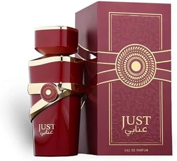 Amazon.com : Fragrance World Just Anabi EDP 100ml : Beauty