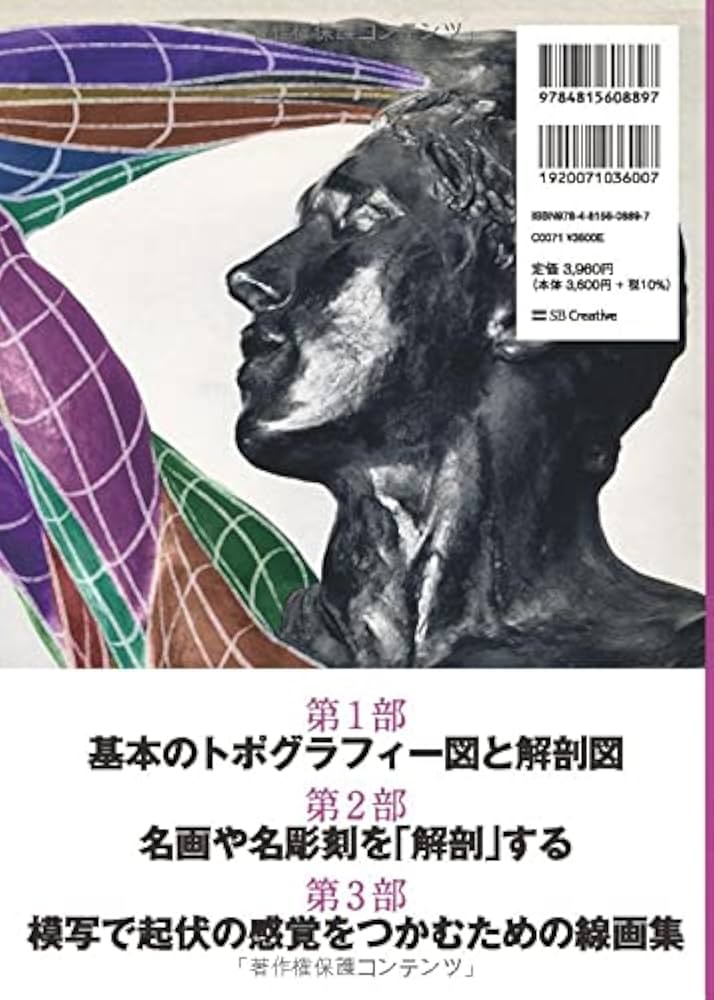 名画・名彫刻の美術解剖学 名作の起伏から内部構造を判別する | 加藤