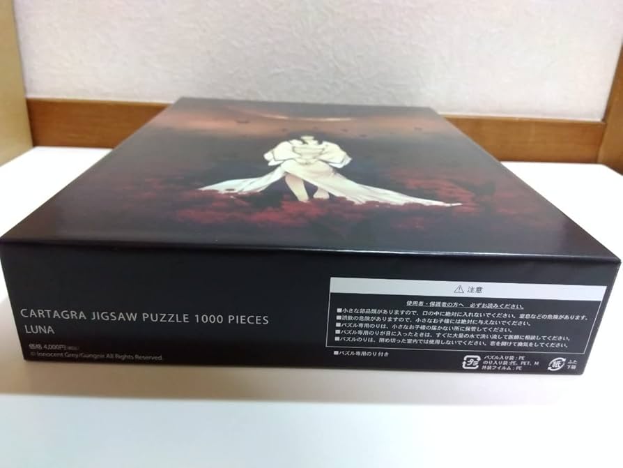 51S+rG6WKtL._AC_UF894,