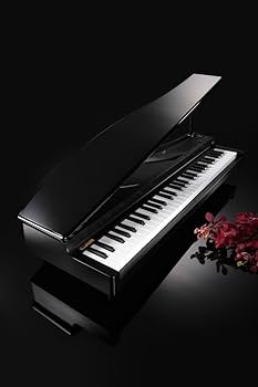 Amazon.com: Korg microPiano 61 - Key Minature Grand Piano, Black