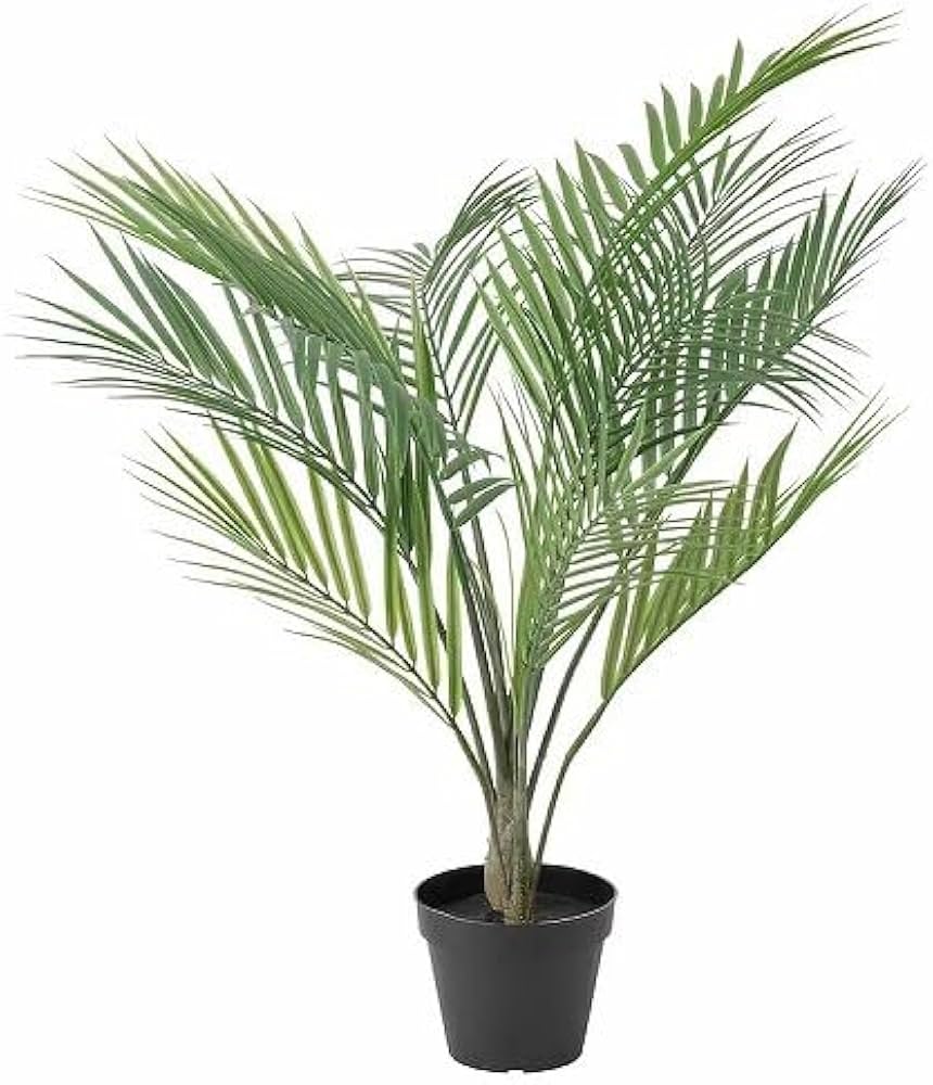 Amazon｜IKEA/イケア FEJKA/フェイカ：人工観葉植物68 cm アレカヤシ