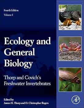 51TDeLsDTGL._AC_UF350,