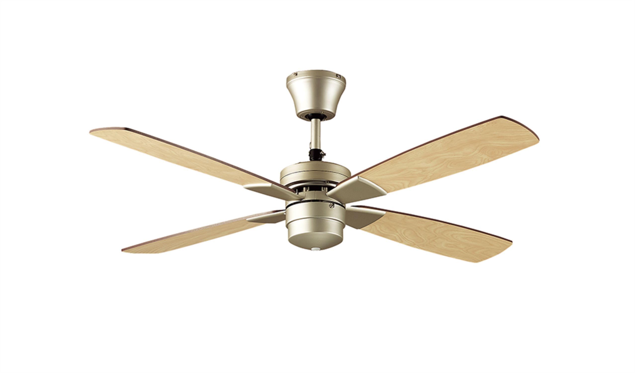 Amazon | 大光電機(DAIKO)シーリングファン 灯具なし 簡易取付式 ASN