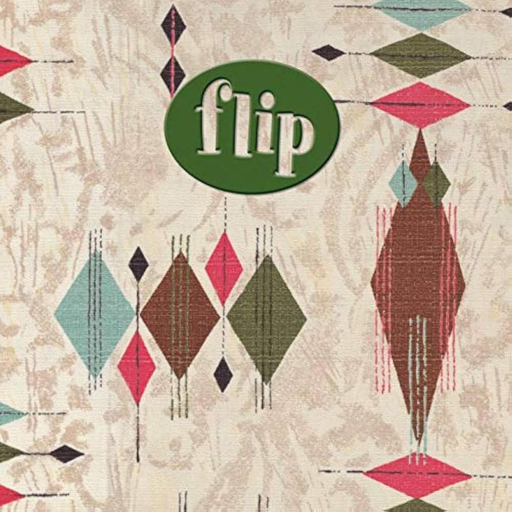Amazon.co.jp: flip flop(初回生産限定盤)(2CD): ミュージック