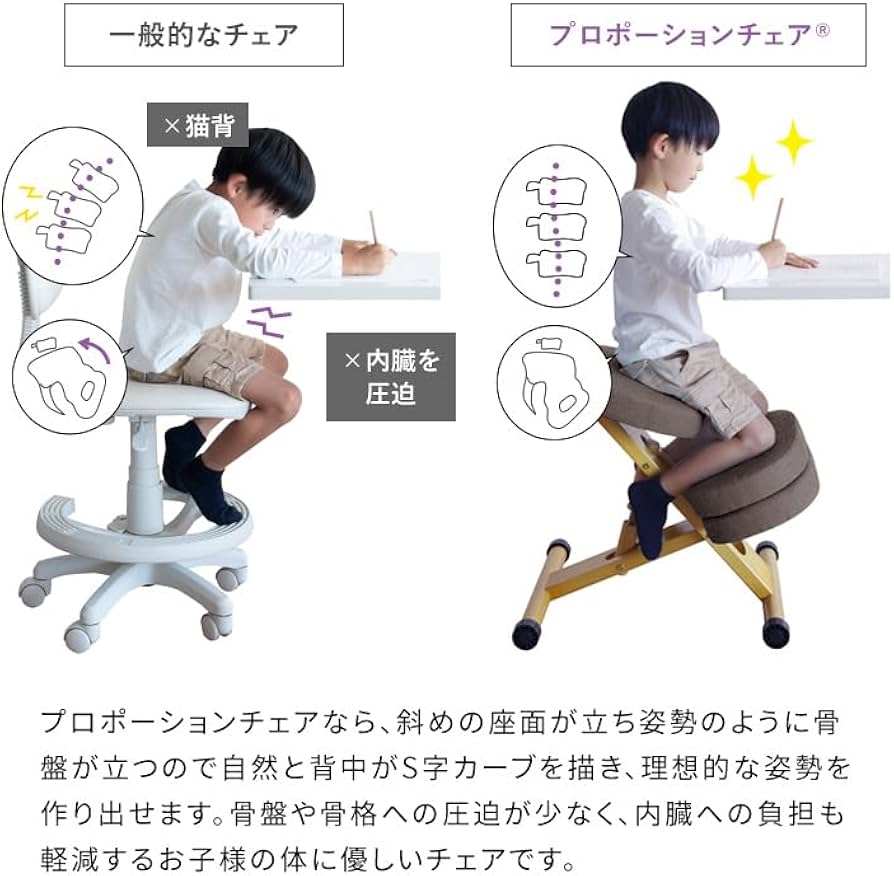 Amazon.co.jp: 宮武製作所 プロポーションチェア 幅48.5×奥行61-68×高