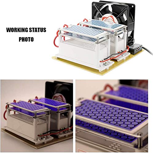 Amazon | オゾン発生器 20g/h 空気清浄機 ファン付き ダブルセラミック