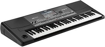 Amazon.com: Korg PA600 61-Key Professional Arranger with Color