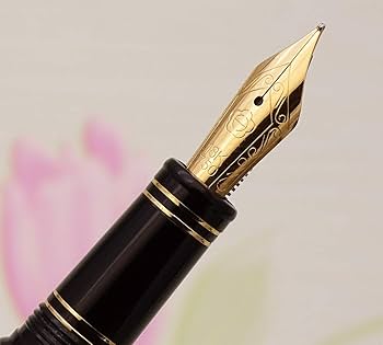 Amazon | Lanxivi HERO 3000 18K 純金ペン先 万年筆 帝国裁判所