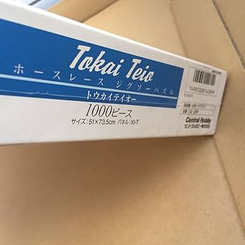 51Wup1yfqSL._AC_UF350,