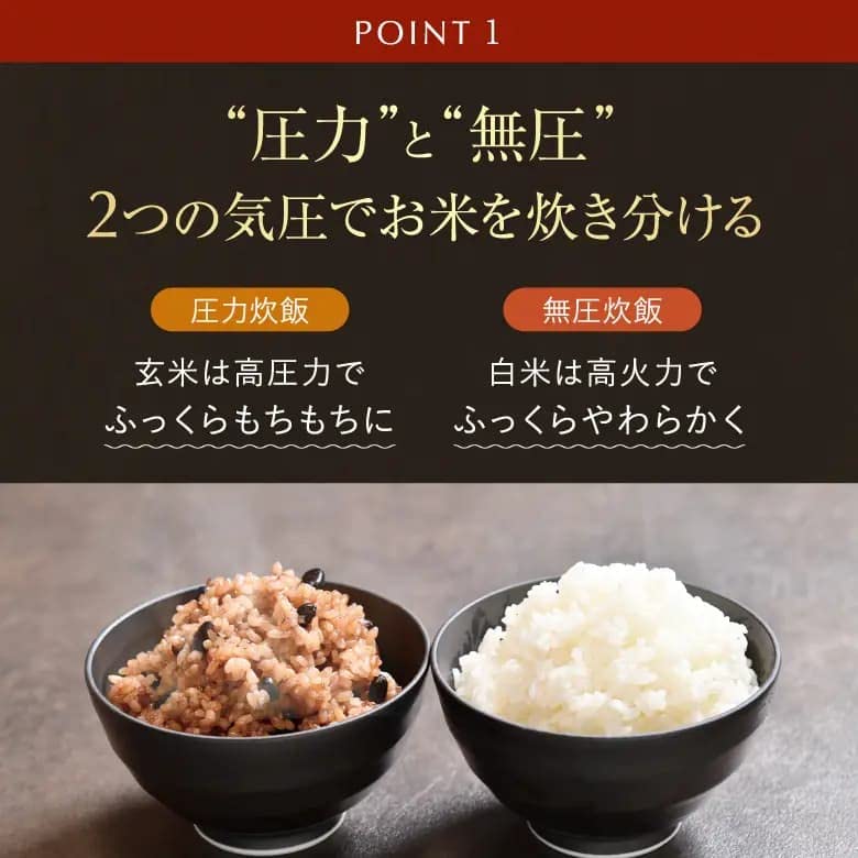 圧力名人SP Premium New 発芽酵素玄米炊飯器 アーバングレー Amazon