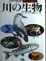 Amazon.co.jp: 川の生き物 図鑑