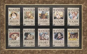 51ACN4Z+qKL._AC_UF350,