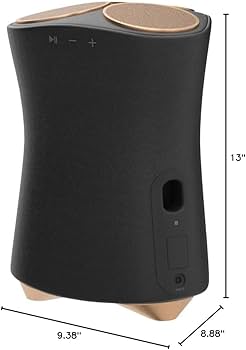 Amazon.com: Sony SRS-RA5000 360 Reality Audio Premium Wi-Fi