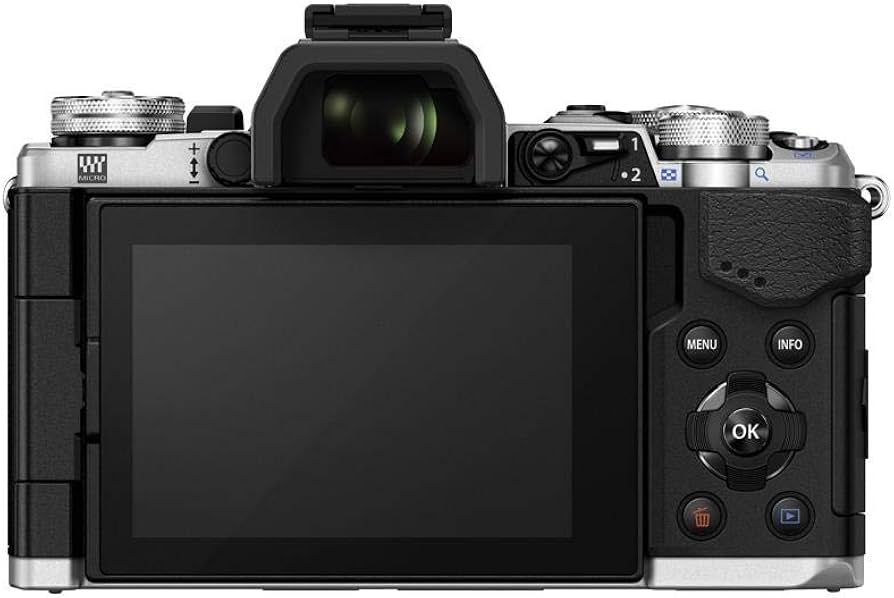Amazon.com : OM SYSTEM Olympus OM-D E-M5 Mark II (Silver) (Body
