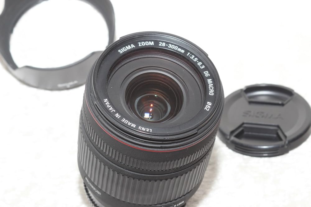 Amazon.co.jp: シグマ 28-300mm F3.5-6.3 DG MACRO ソニー用 : 家電