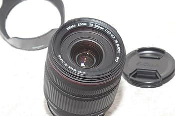 Amazon.com : Sigma 28-300mm f/3.5-6.3 DG IF Macro Aspherical Lens