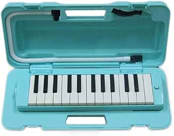 51Audq-WouL._AC_UF350,