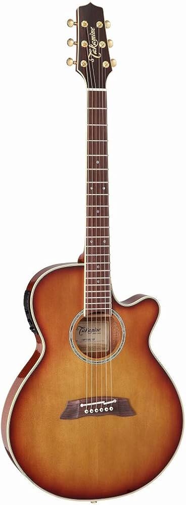Amazon | Takamine / TSP138C TB タカミネ エレアコ アコースティック