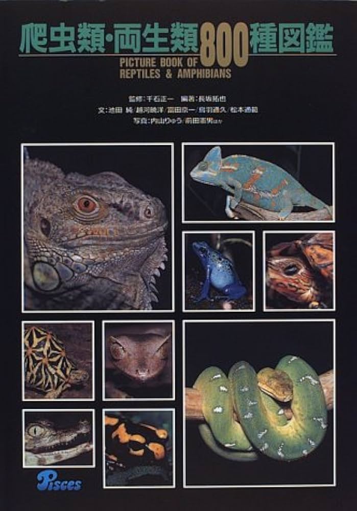 Amazon.co.jp: 爬虫類・両生類800種図鑑 : 池田 純, 長坂 拓也: 本