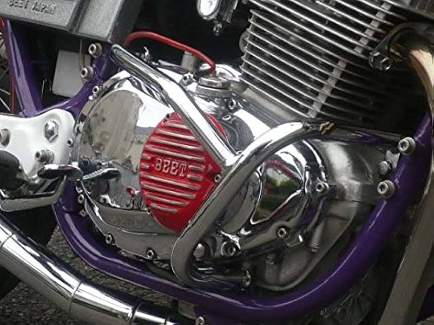 Amazon | PRETTY RACING製 GSX250E ザリ エンジンガード メッキ