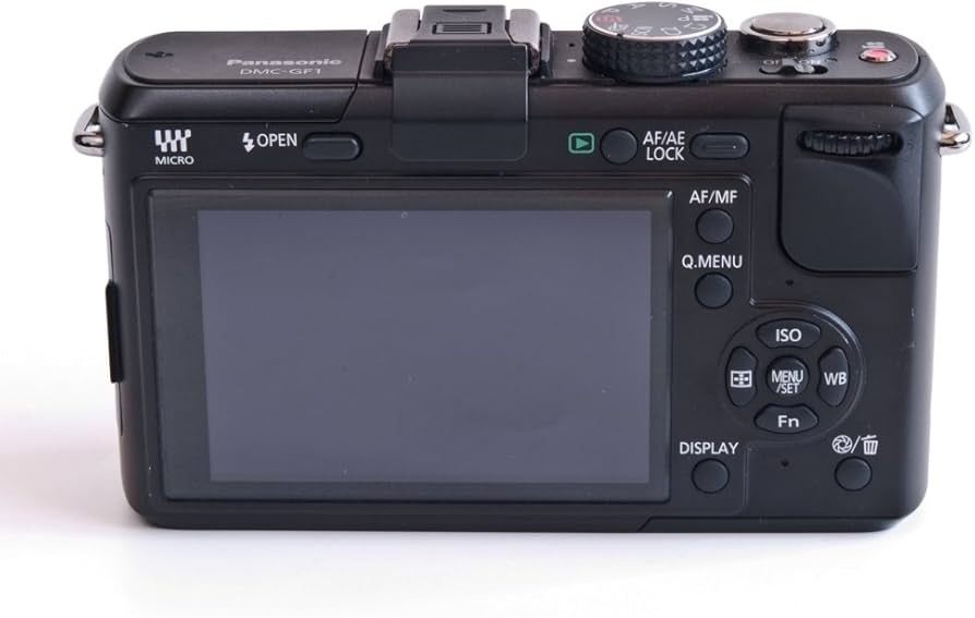 Amazon.com : Panasonic Lumix DMC-GF1 12.1MP Micro Four-Thirds