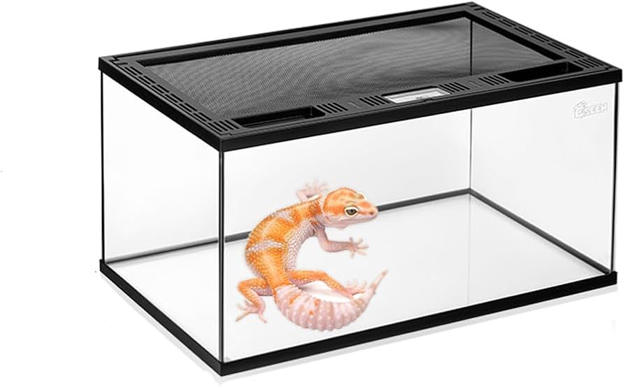 Amazon | 爬虫類 ケージ グラステラリウム 飼育ケース 大 昆虫飼育