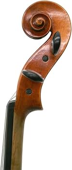 Amazon | Nicolo Santi NSN60S バイオリン 初心者セット マイスター