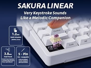 Amazon.com: ZORNHER ZH980 Mechanical Keyboard Wireless,95% White