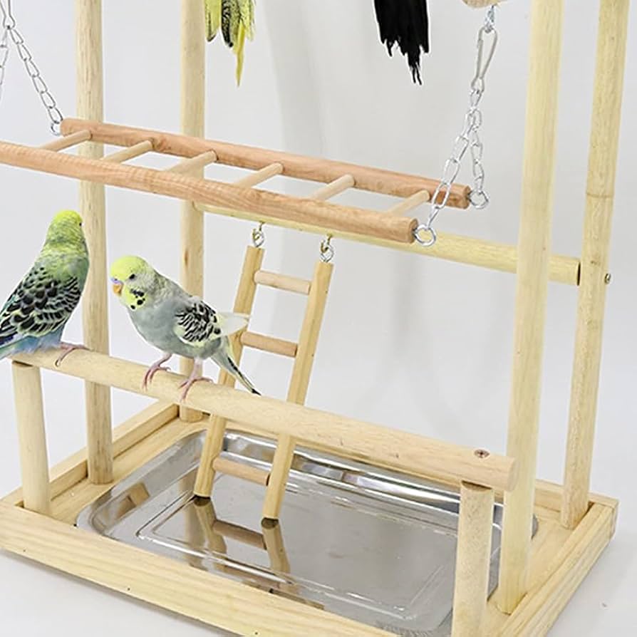 Amazon | 鳥の遊び場 止まり木 バードスタンド 天然木材 鳥 小鳥 文鳥