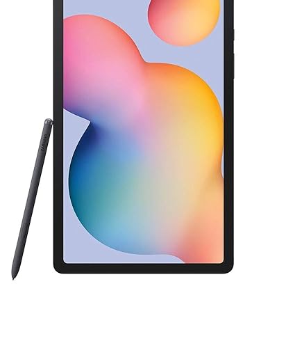 Amazon.com : Samsung Galaxy Tab S6 Lite 10.4-inch , 64GB WiFi