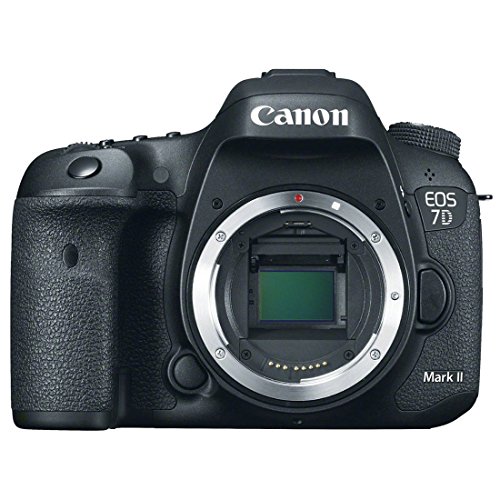 7d mark2」の人気商品一覧 | 安い商品を通販サイトから探す - 価格.com