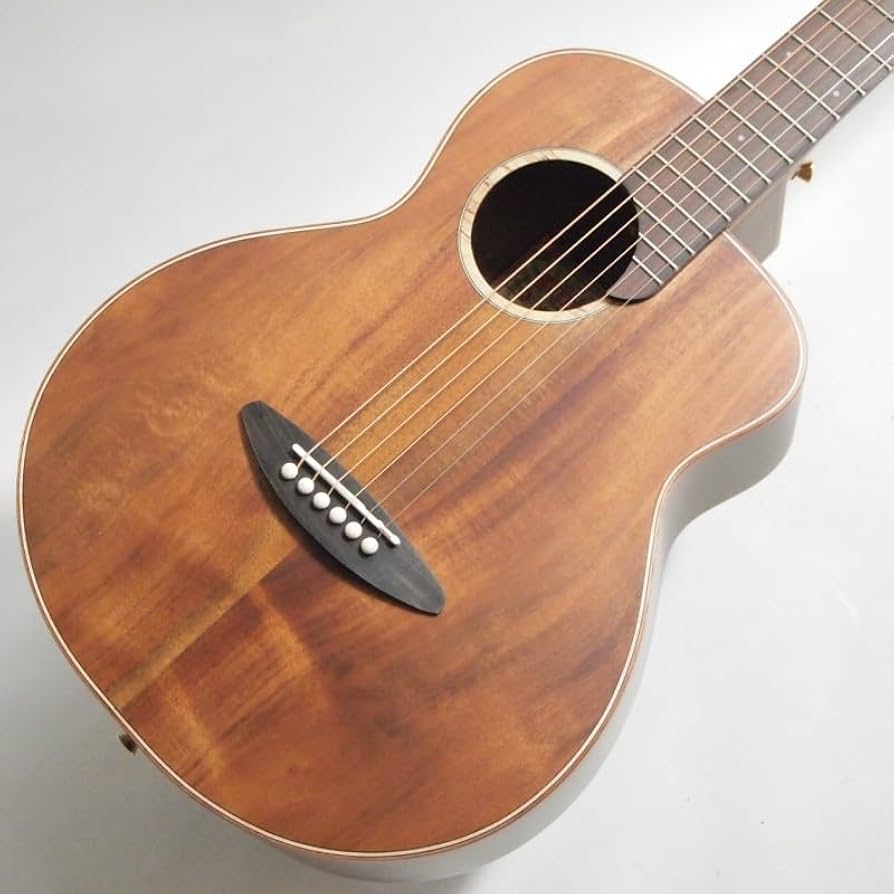 Amazon | aNueNue M30 アコースティックギター Original Series