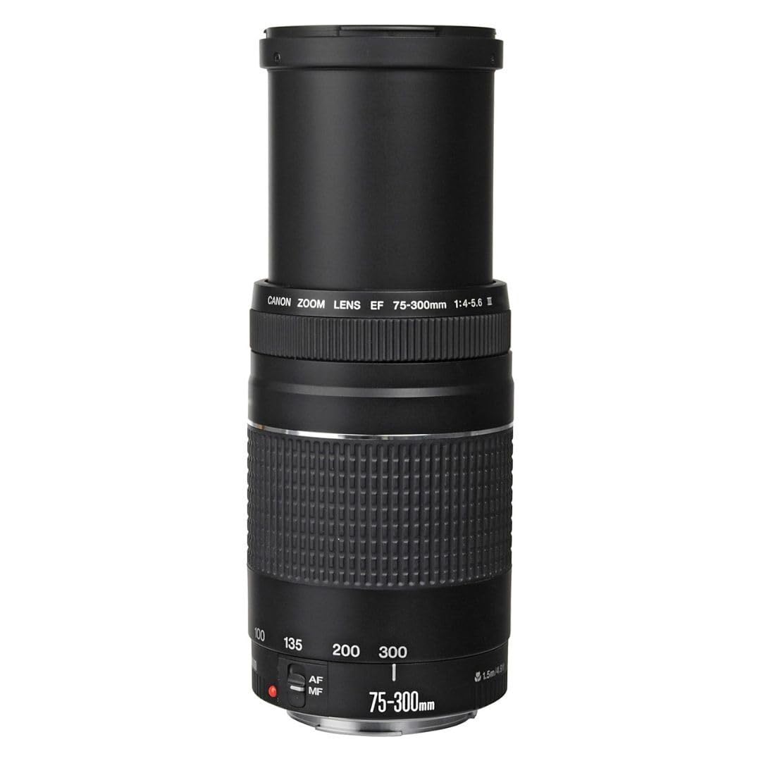 Amazon.com : Canon EF 75-300mm f/4-5.6 III Telephoto Zoom Lens for