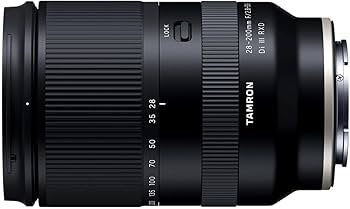 Amazon.com : Tamron 28-200 F/2.8-5.6 Di III RXD for Sony