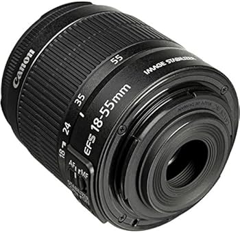 Amazon.co.jp: (白箱)EF-S55-250mm F4-5.6 IS II(#) : 家電＆カメラ