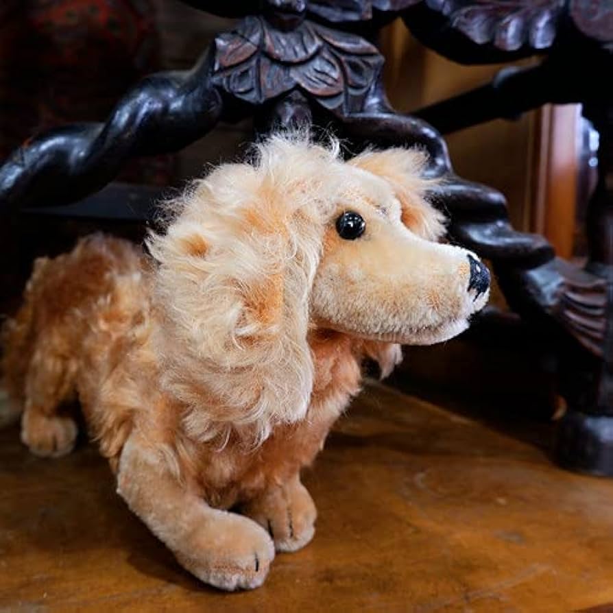 Amazon.co.jp: ドイツ ヴィンテージ くるくる巻き毛のダックスフンド