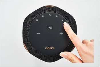 Amazon.com: Sony SRS-RA3000 360 Reality Audio Wi-Fi / Bluetooth