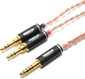 Amazon.co.jp: Wisetech NOBUNAGA Labs 吹割(Fukiwari) ヘッドホンリ