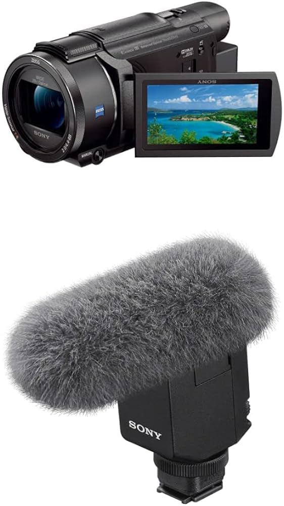 Amazon | SONY(ソニー) 【AX60 と マイク セット】 どんなシーンも