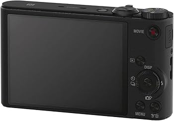 Amazon.com : Sony DSCWX350 18 MP Digital Camera (Black) : Electronics
