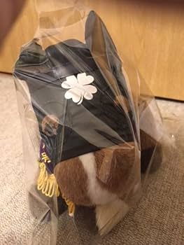 Amazon.co.jp: ダイワメジャー 天皇賞 競馬 ぬいぐるみ Sサイズ AVANTI