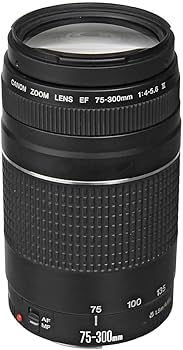 Amazon.co.jp: Canon EF 75 – 300 mm f / 4 – 5.6 III望遠ズームレンズ