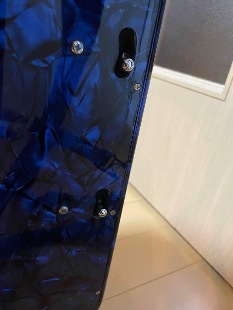 ヒ*ム様 Piermaria ボタン式アコーディオン ハードケース付