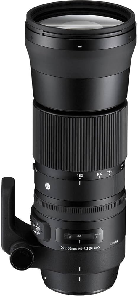 Amazon.co.jp: SIGMA Telephoto zoom lens Contemporary 150-600mm F5