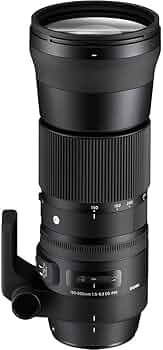 Amazon.co.jp: SIGMA 150-600mm F5-6.3 DG OS HSM | Contemporary C015