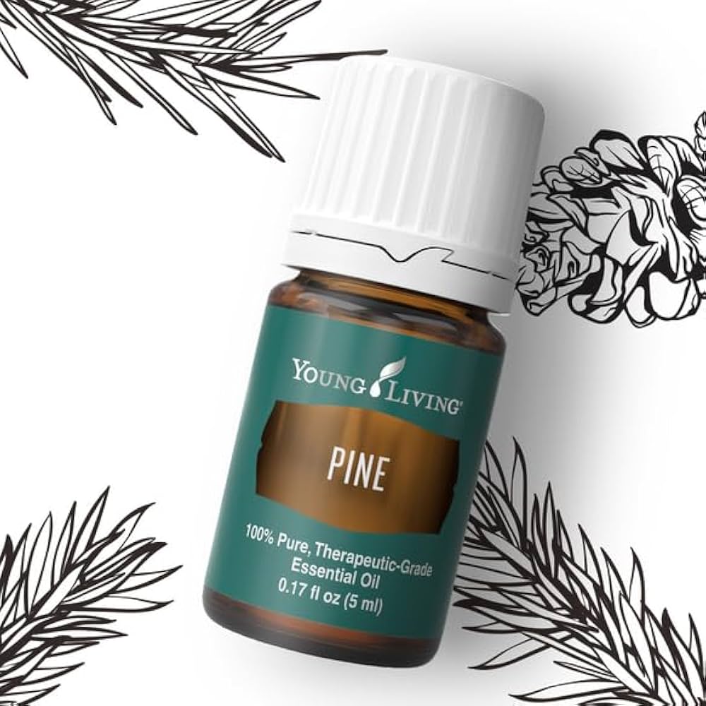 Amazon.com: Young Living Pine Essential Oil, 5ml – Refreshing