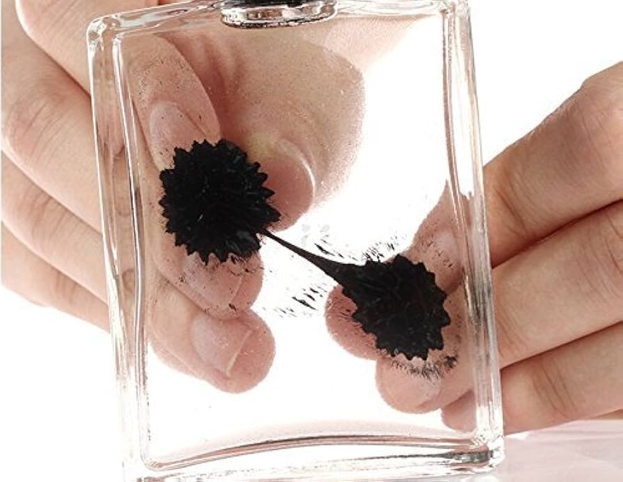 Amazon.com: Amazing Ferrofluid Magnetic Display in a Bottle