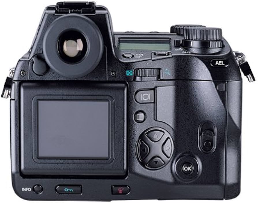 Olympus Câmera digital E-10 4MP com zoom óptico de 4x